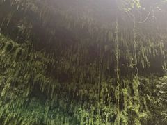 -海口火山口国家地质公园