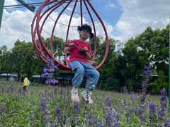 -广东花都香草世界旅游度假区