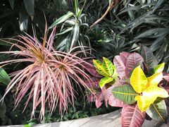 -北京植物园-展览温室