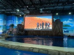 -华夏文旅海洋公园