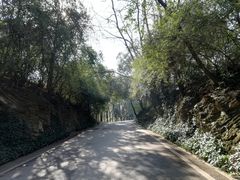 -阿哈湖国家湿地公园