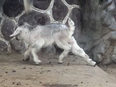 -贵州森林野生动物园