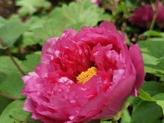 -江南大学(蠡湖校区)