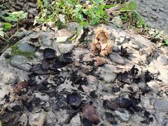 -丹东市五龙山风景区