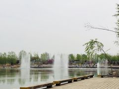 -马家湾湿地公园