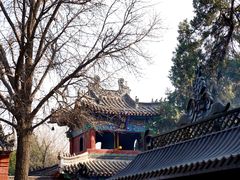 -洛阳白马寺