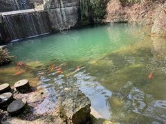 -千岛湖东南湖区