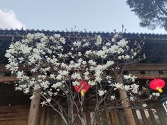 -大理文庙(大理古城)