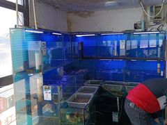 -阿军排档·烧烤
