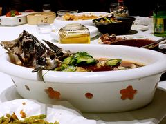 清蒸活青斑鱼-怡情荟•海鲜青岛菜(五四广场旗舰店)