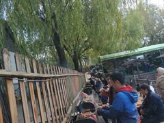 -尚庄度假村·庭台树下·户外烧烤·团建CS·轰趴营地(上庄水库店)