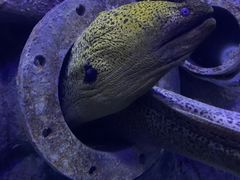 -成都浩海立方海洋公园