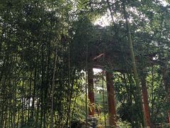 -武清南湖绿博园