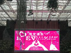 -上海鲜花港