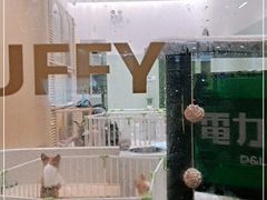 -電力宠物公司(武定路店)