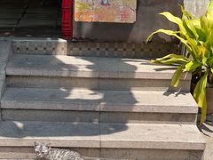 -伦教678文化街