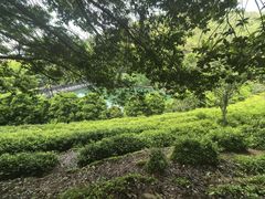 -九龙潭景区