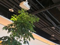 -悦融·京鲁菜·露台花园(安定门店)