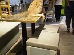 -小时光咖啡馆(开森度假森林店)