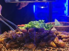 -入火韩国烤肉(凯旋广场店)