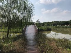 -南湖湿地公园