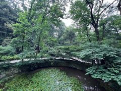 -虎跑公园