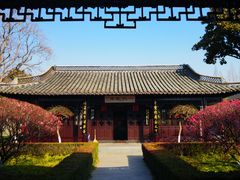 -梅园