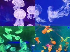 -南昌融创海世界