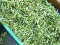 -老味道1992(武当山店)