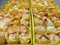 -老袁家蜜桃农场·阳山水蜜桃