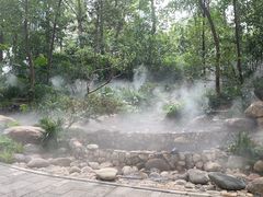 -成都市活水公园