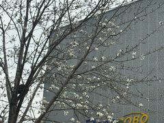 -西安创业咖啡街区