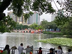 -荔湾湖公园