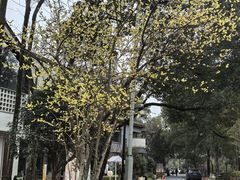 -黄公望隐居地