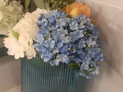 -华夏良子·足道SPA艾灸(中关村旗舰店)