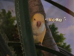 -正佳雨林生态植物园