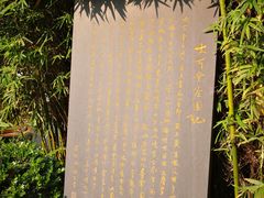 -大可堂普洱茶馆(襄阳南路馆)