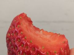 -菜园坝水果市场