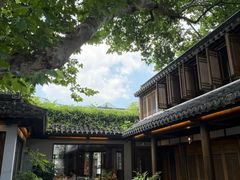 -鲤院·新中式美学·庭院餐厅(夫子庙店)