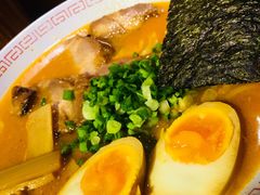 辛激辣豚骨拉面-老龙亭拉面店