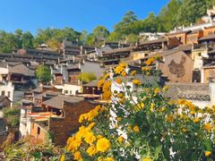-婺源风景区
