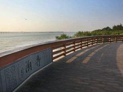 -宝安西湾红树林湿地公园