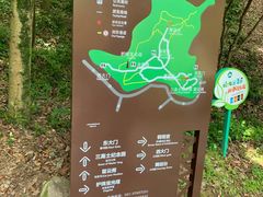 -上海佘山国家森林公园天马山园