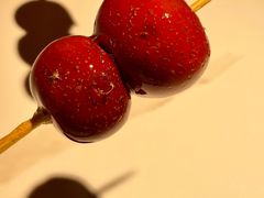 糖葫芦-麻六记(新天地店)