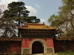 -北陵公园