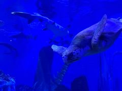 -波塞冬旅游度假区