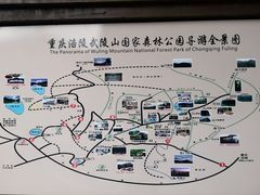 -武陵山森林公园