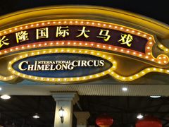 -广州长隆国际大马戏