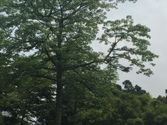 -晓港公园