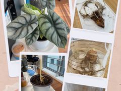 -海马体照相馆(南京虹悦城店)